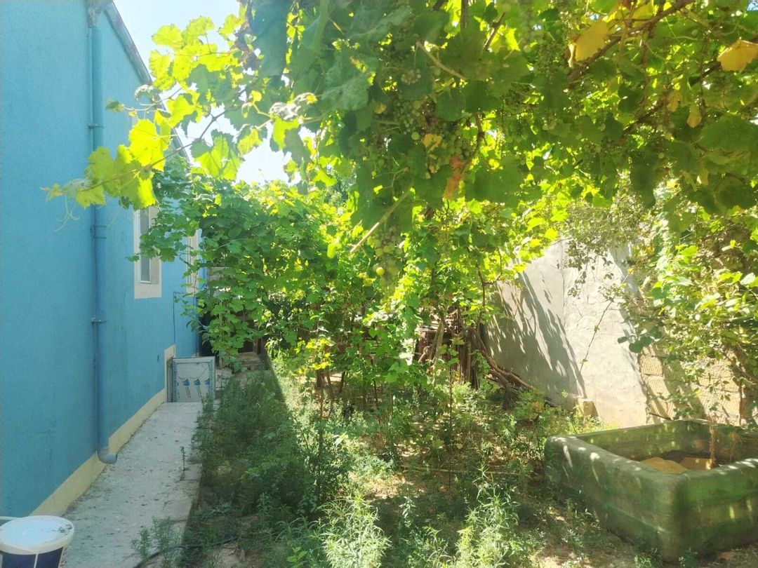 Satılır 3 otaqlı həyət evi/bağ evi 100 m² — Ev, villa, Bakı (4)