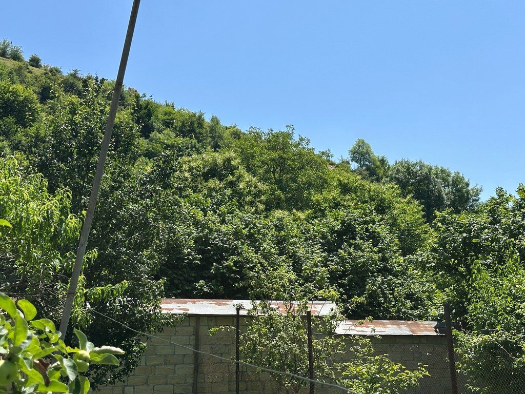 6 sot torpaq sahəsi, Qəbələ ş — Torpaq, Qəbələ (6)