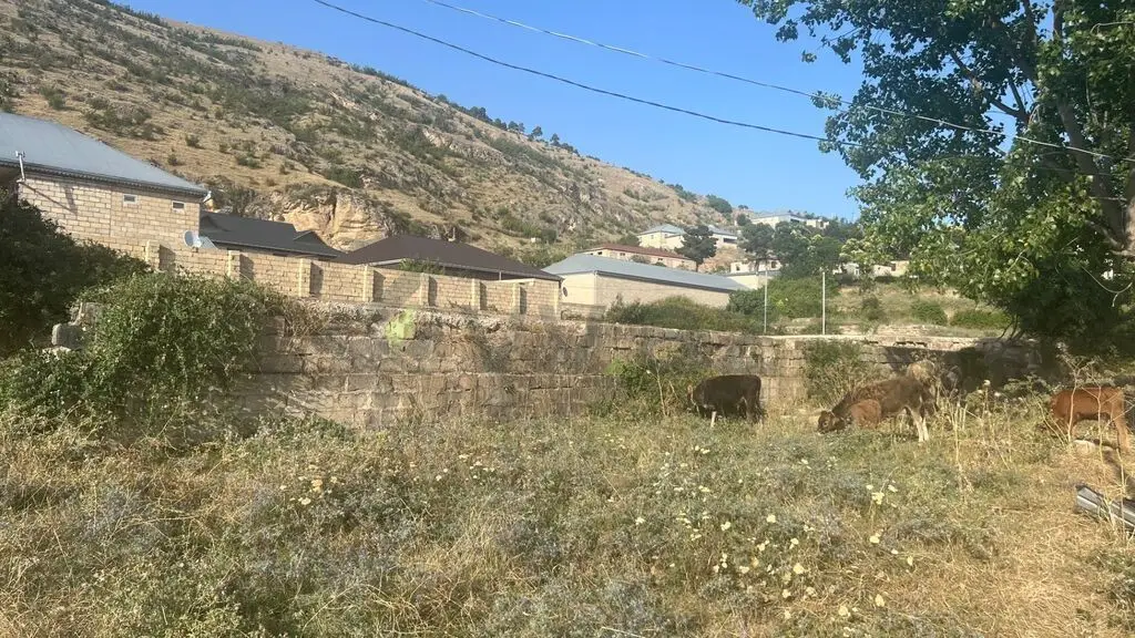 10 sot Torpaq Satılır, Şamaxı — Torpaq, Şamaxı (7)