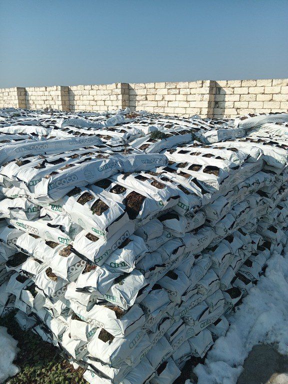 Kakabitlər — Dacha və bağ, Bakı (11)