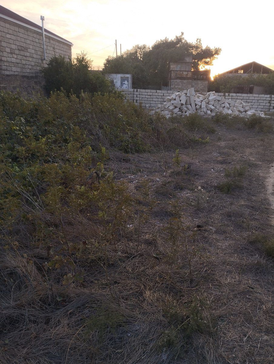 Satılır torpaq 12.5 sot — Torpaq, Bakı (5)