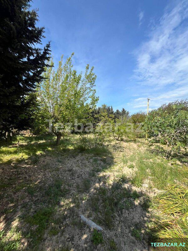 Buzovnada 4 otaq həyət evi satılır — Ev, villa, Bakı (10)