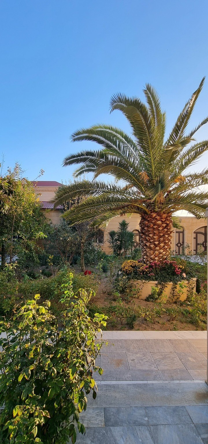 10 otaqlı həyət evi 800 m² satılır — Ev, villa, Bakı (11)