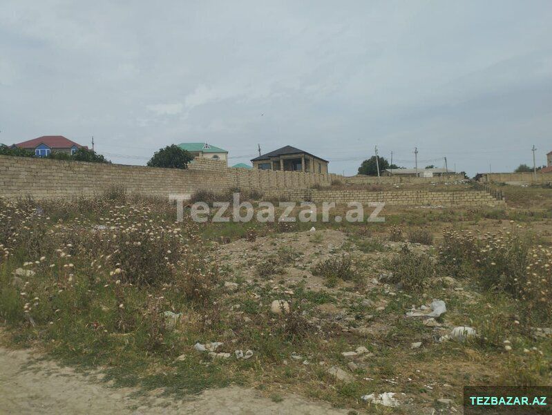 Abşeron Ayonu Saray qesebesi — Torpaq, Xırdalan (8)