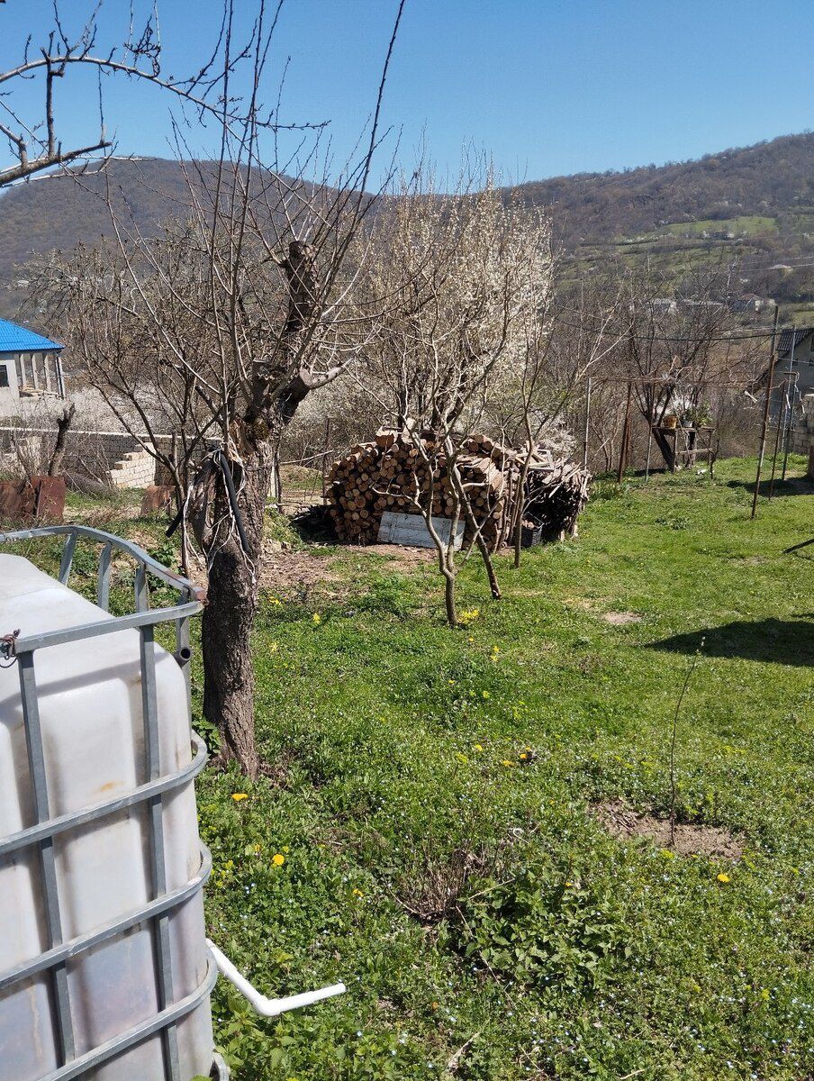 4.50 sot torpaq sahəsi, Küpçal kəndi — Torpaq, Quba (5)