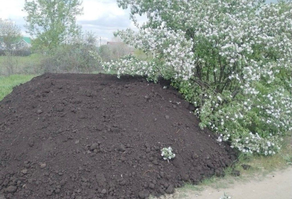Qara torpaq və peyin — Dacha və bağ, İsmayıllı (9)