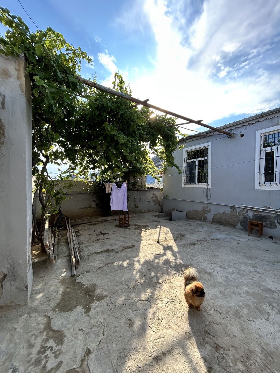 Həyət evi, Binə qəs — Ev, villa, Bakı (2)