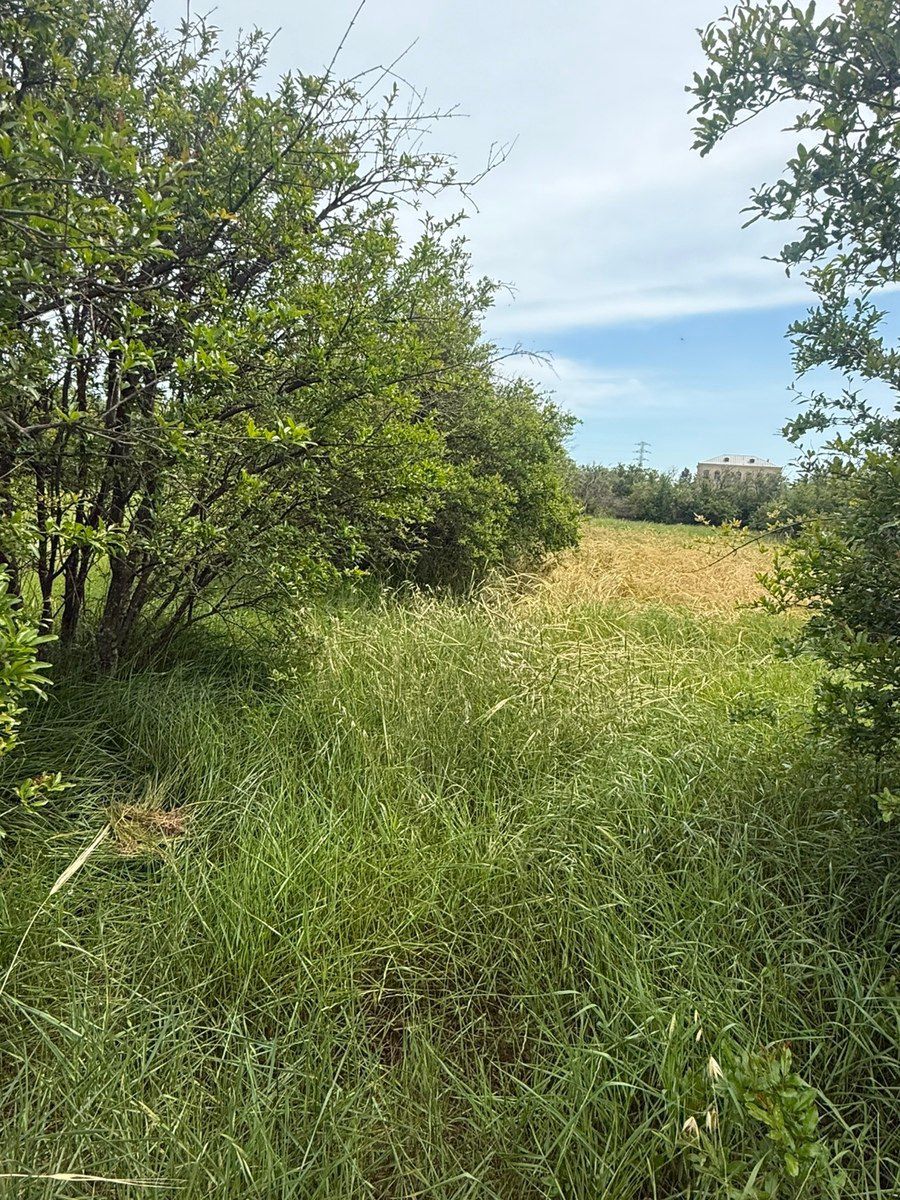 14 sot torpaq sahəsi, Albalı qəs — Torpaq, Bakı (8)