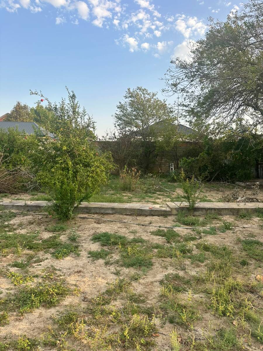 Satılır torpaq 4 sot — Torpaq, Bakı (2)