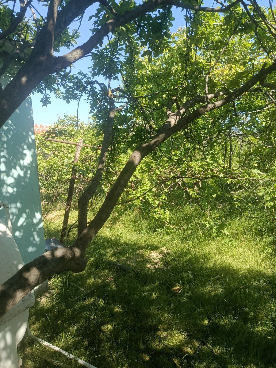 Həyət evi, Pirşağı qəs — Ev, villa, Bakı (3)