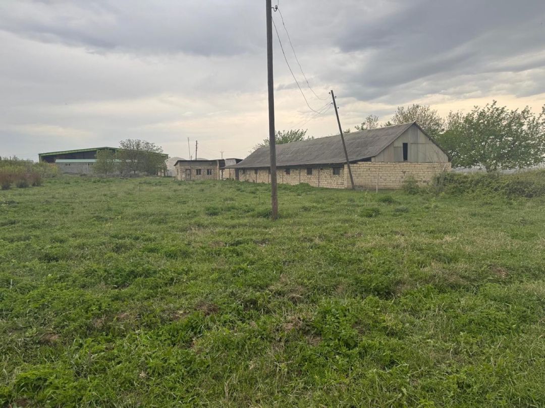 50 sot torpaq sahəsi, Tovuz rayonu — Torpaq, Tovuz (7)