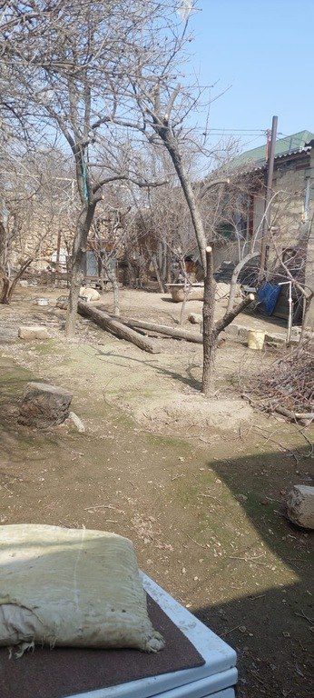 Satılır torpaq 8 sot — Bakı
