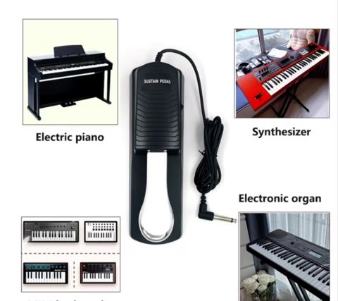 Sintezator üçün Sustain pedal — Bakı