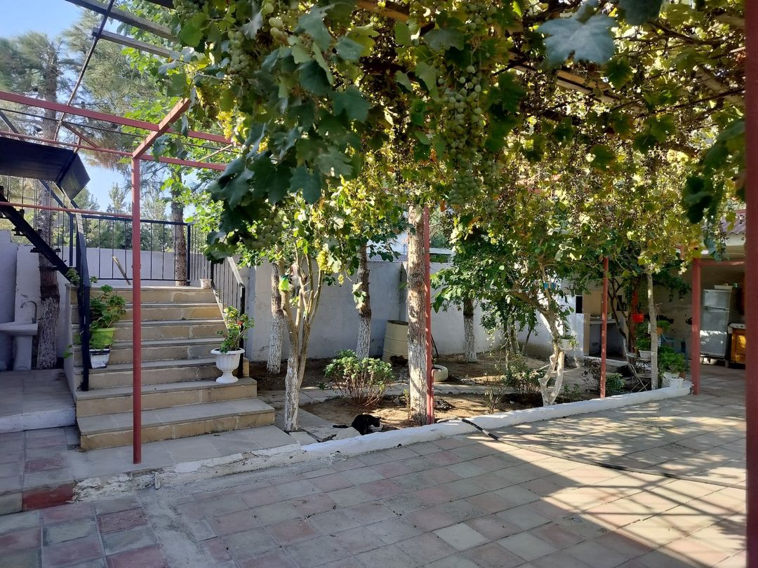 Satılır torpaq 5 sot — Torpaq, Bakı (2)