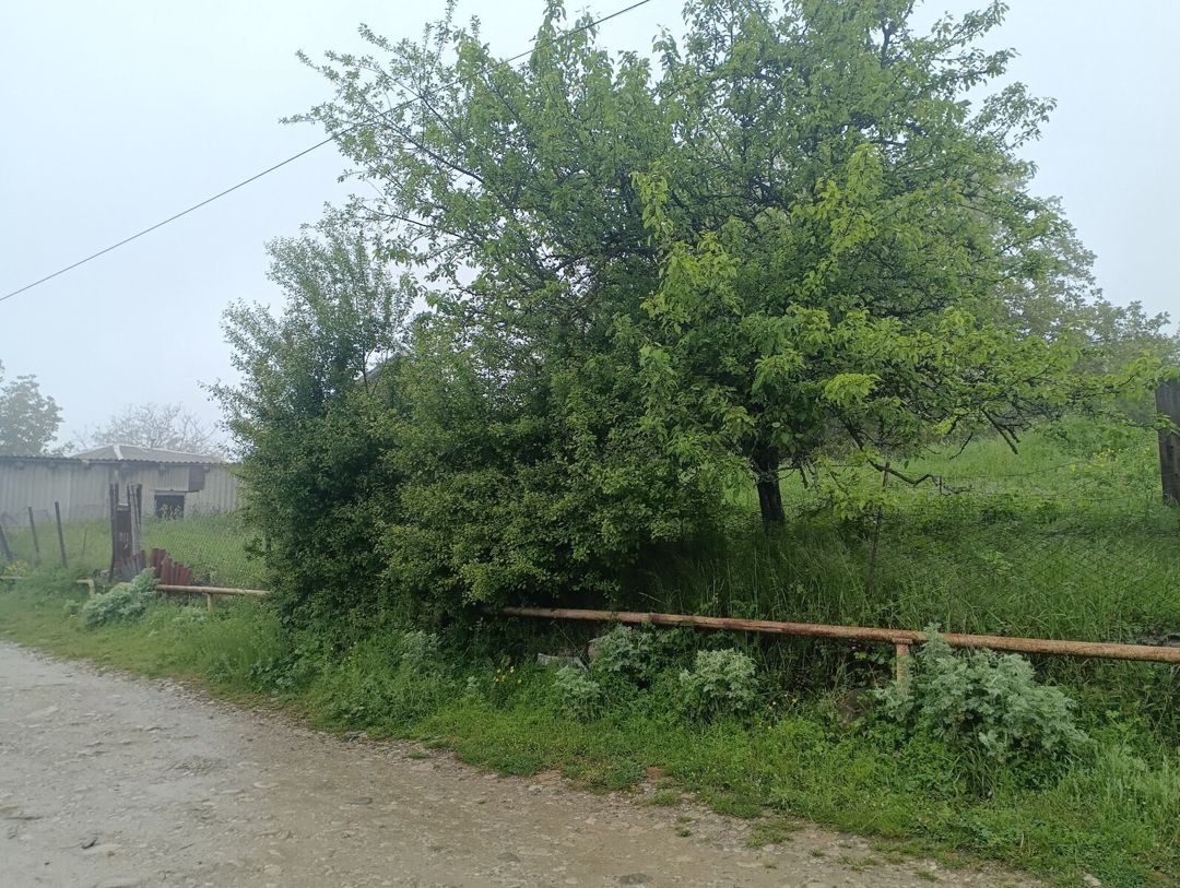 22 sot torpaq sahəsi, Şamaxı r — Torpaq, Şamaxı (11)