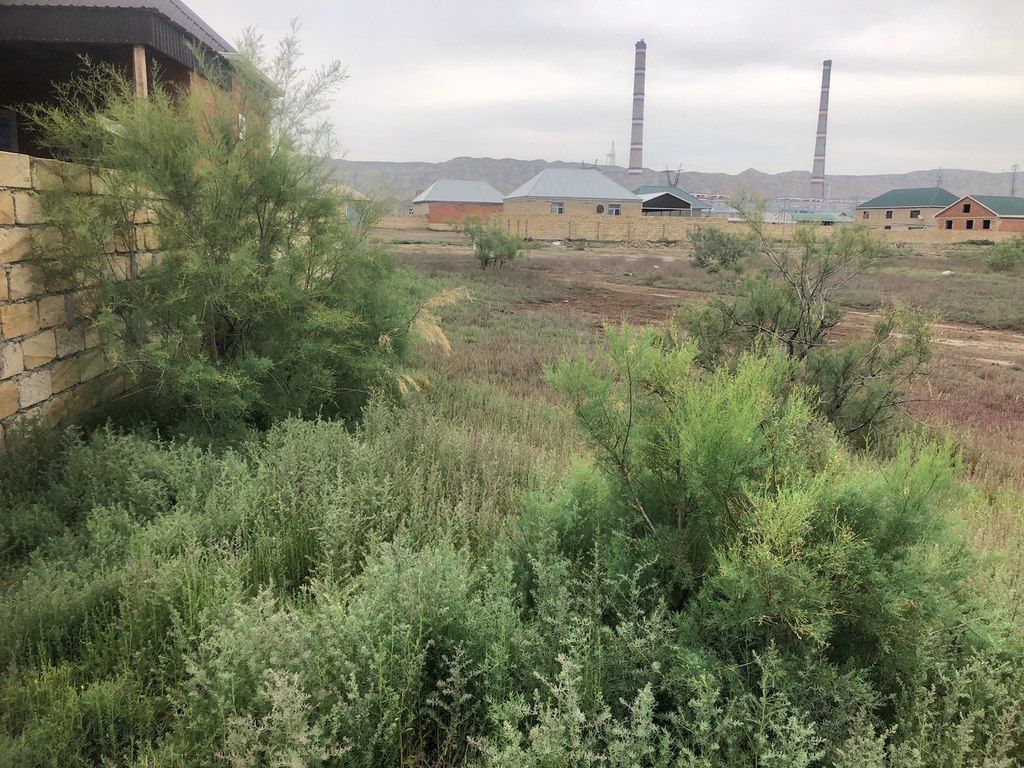 8 sot torpaq sahəsi, Mingəçevir ş — Torpaq, Mingəçevir (4)