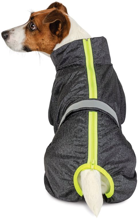 Kombinezon itlər üçün Pet Fashion Active Cold XS Taksa — Bakı