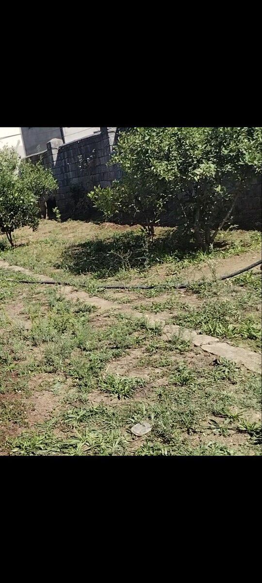 1 sot torpaq sahəsi, Lənkəran ş — Torpaq, Lənkəran (2)