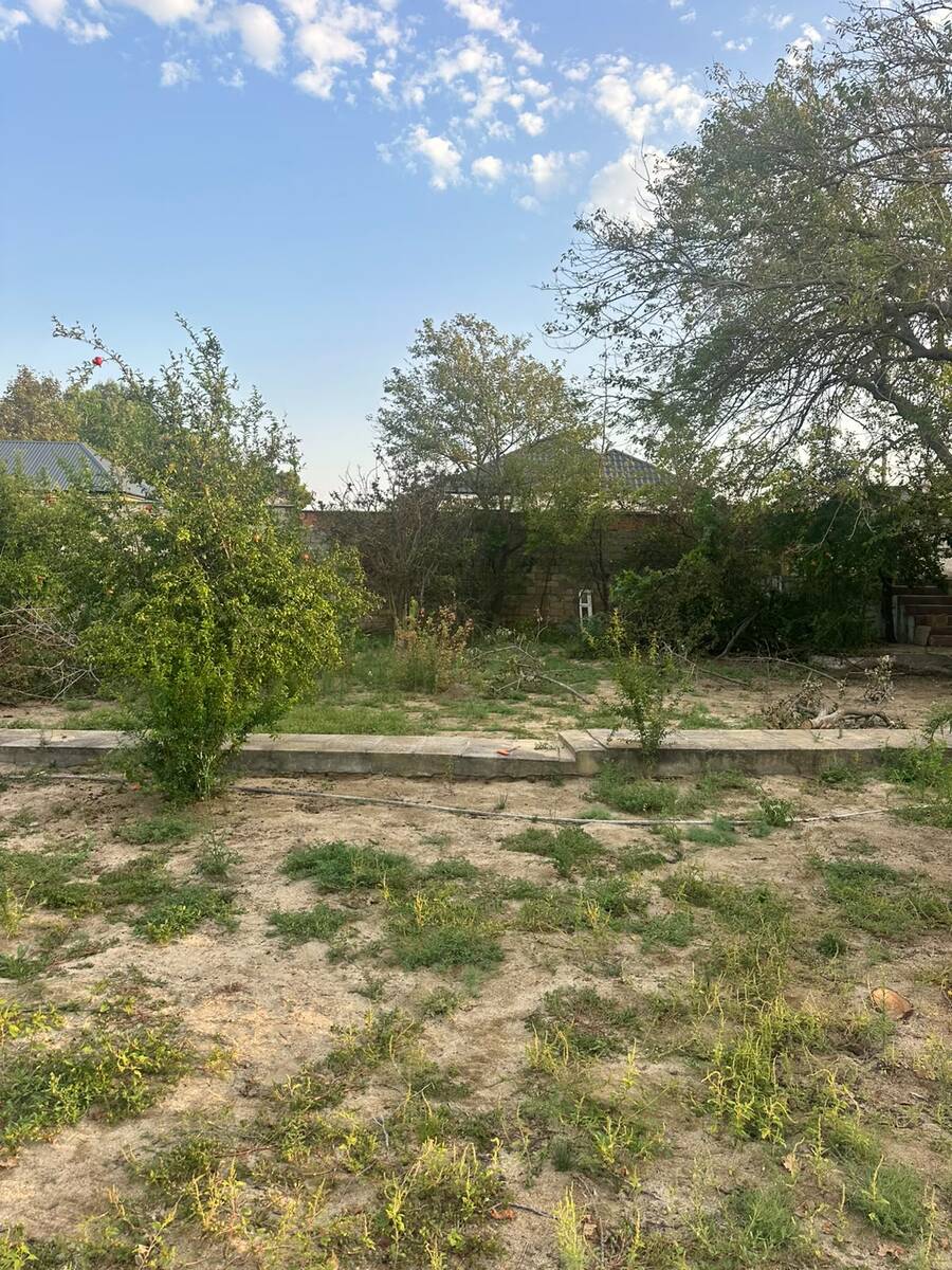 Satılır torpaq 4 sot — Torpaq, Bakı (3)