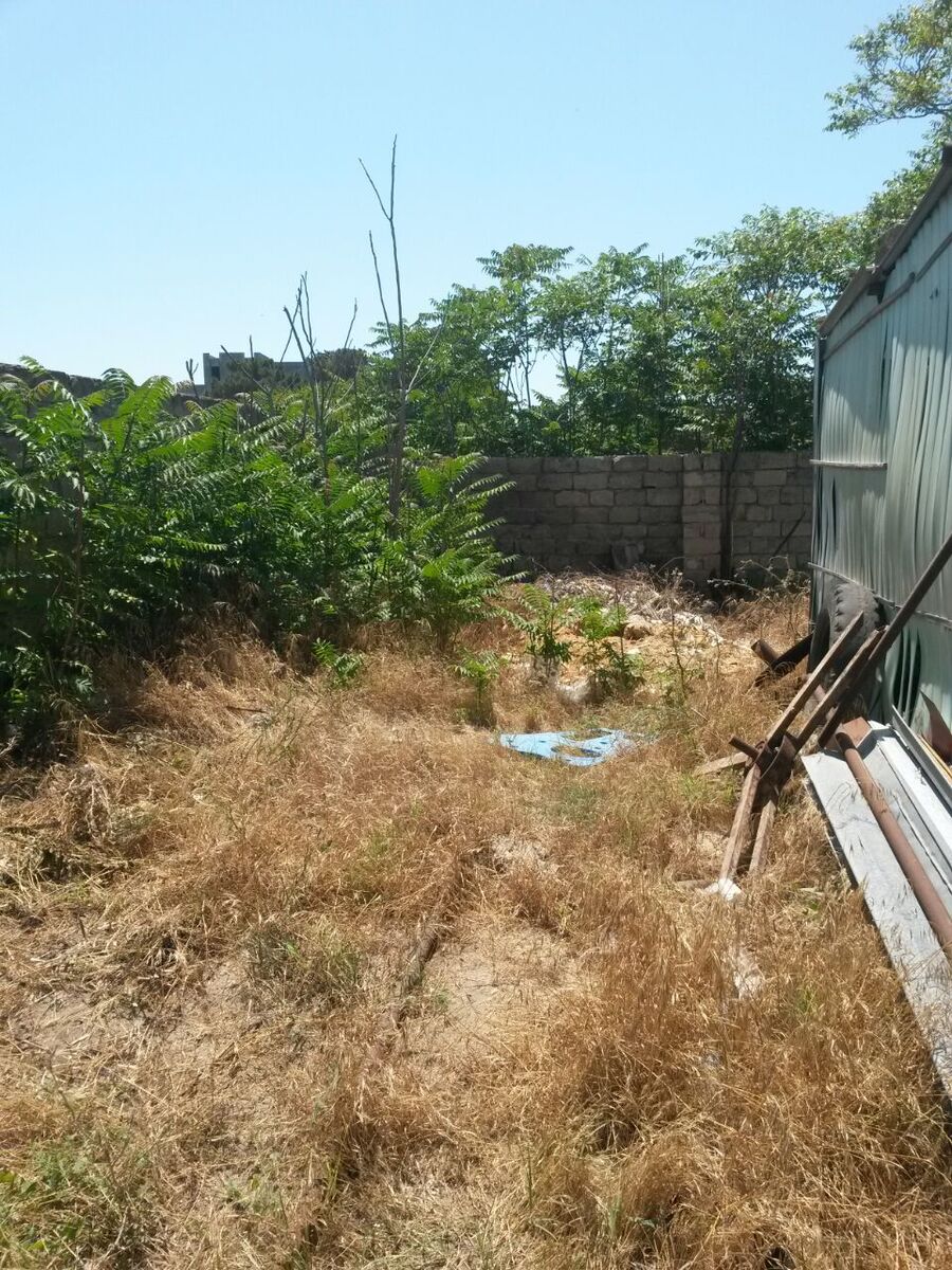 16 sot torpaq sahəsi, Buzovna qəs — Torpaq, Bakı (11)