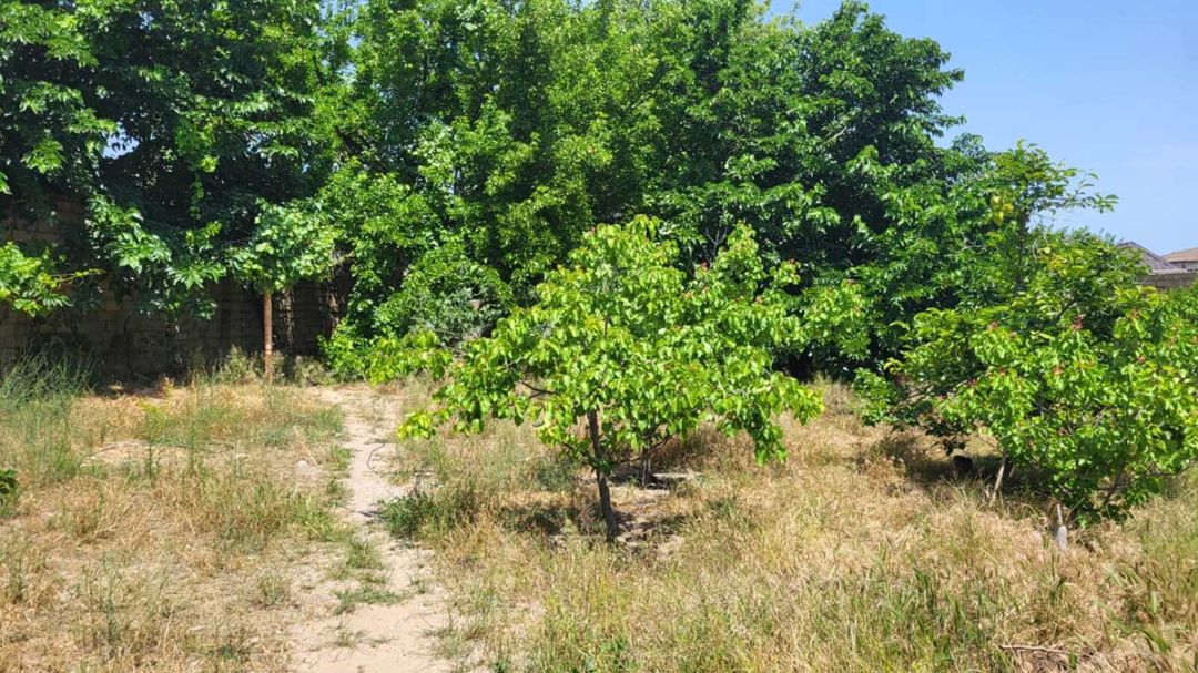 Satılır 5 otaqlı həyət evi/bağ evi 150 m² — Ev, villa, Bakı (8)