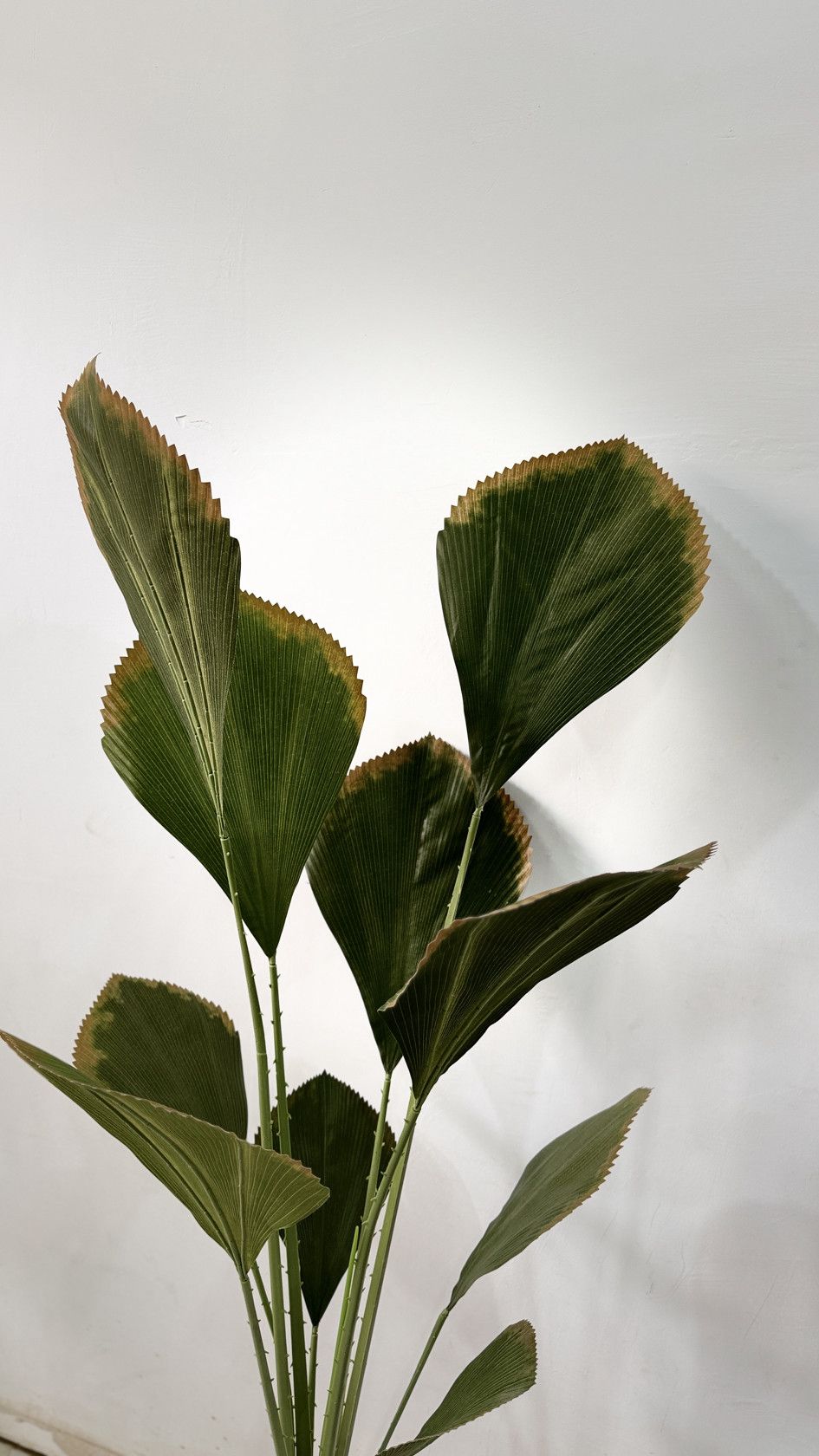 Süni bitki 6357, plastik, yaşıl, 170 sm — Mallar, Bakı (3)