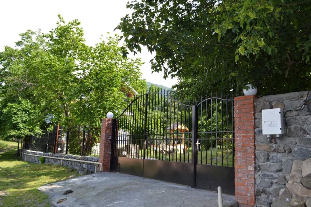 Villa kirayə verilir, Zaqatala ş — Ev, villa, Zaqatala (5)
