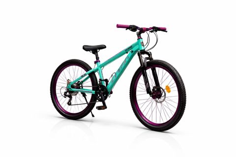 Şəhər velosipedi Scoot bm999, açıq yaşıl/bənövşəyi, 26" — Bakı