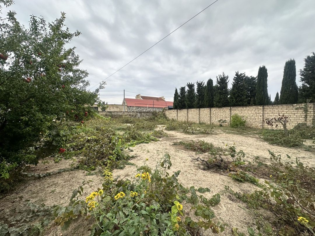 Satılır torpaq 8 sot — Torpaq, Bakı (2)
