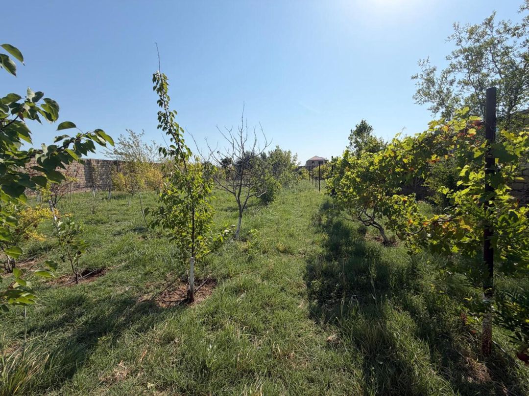 İcarəyə verilir 4 otaqlı həyət evi/bağ evi 400 m² — Ev, villa, Bakı (5)