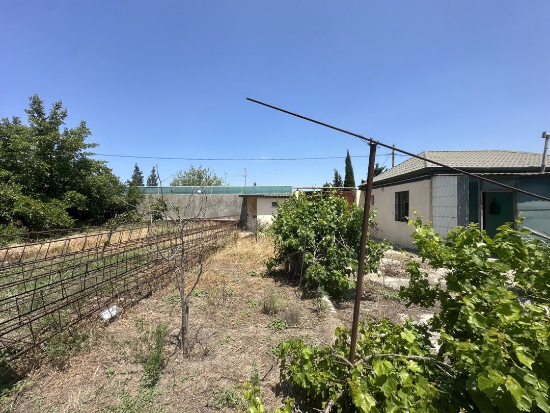 30 sot torpaq sahəsi, Novxanı qəs — Torpaq, Bakı (3)