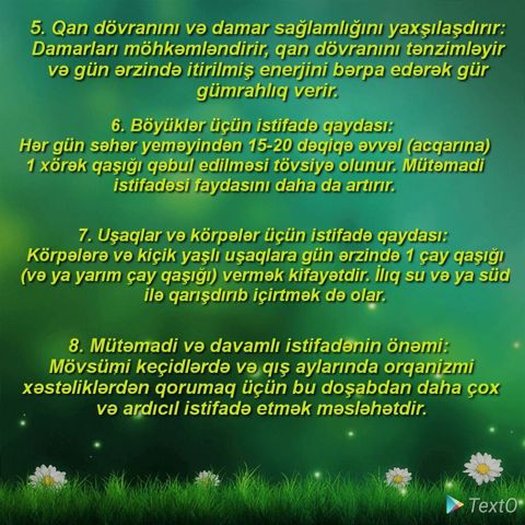 Məhsul: Sərv qozası doşabı – ev üsulu ilə hazırlanmış, tam təbii — Bakı