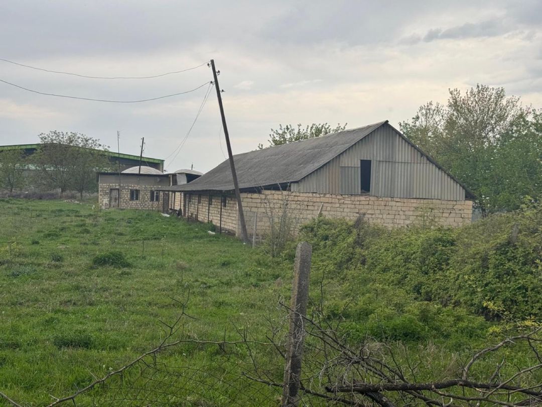 50 sot torpaq sahəsi, Tovuz rayonu — Torpaq, Tovuz (2)