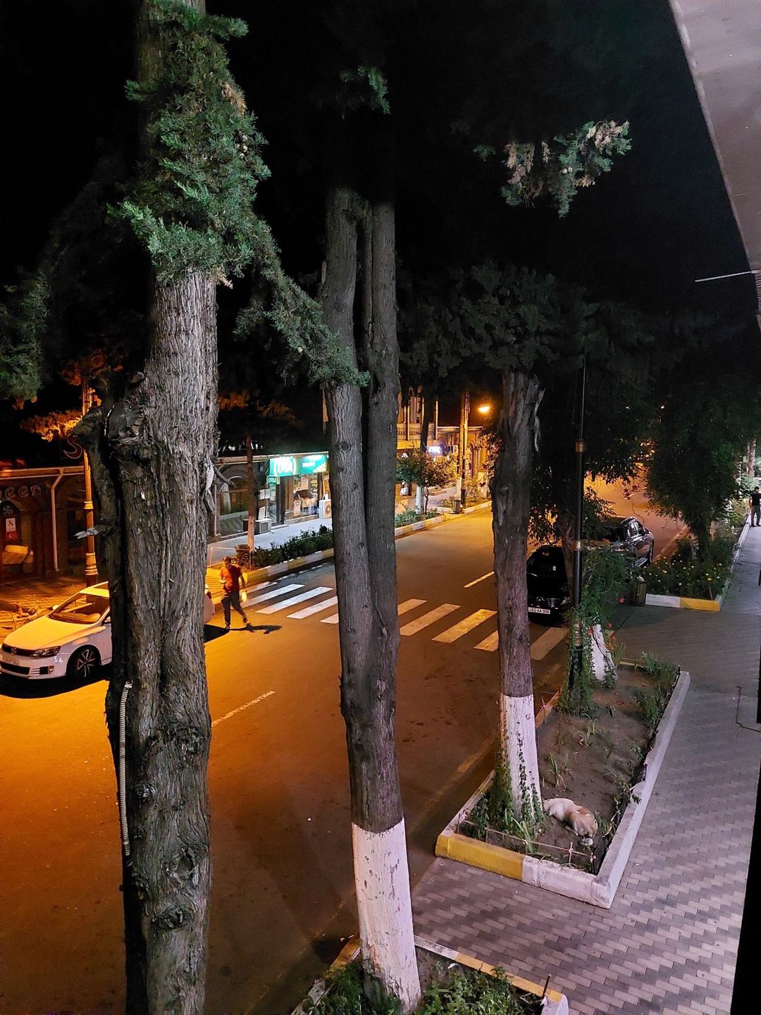 1-otaqlı mənzil kirayə verilir, Zaqatala ş., 30 m² — Mənzil, Zaqatala (7)