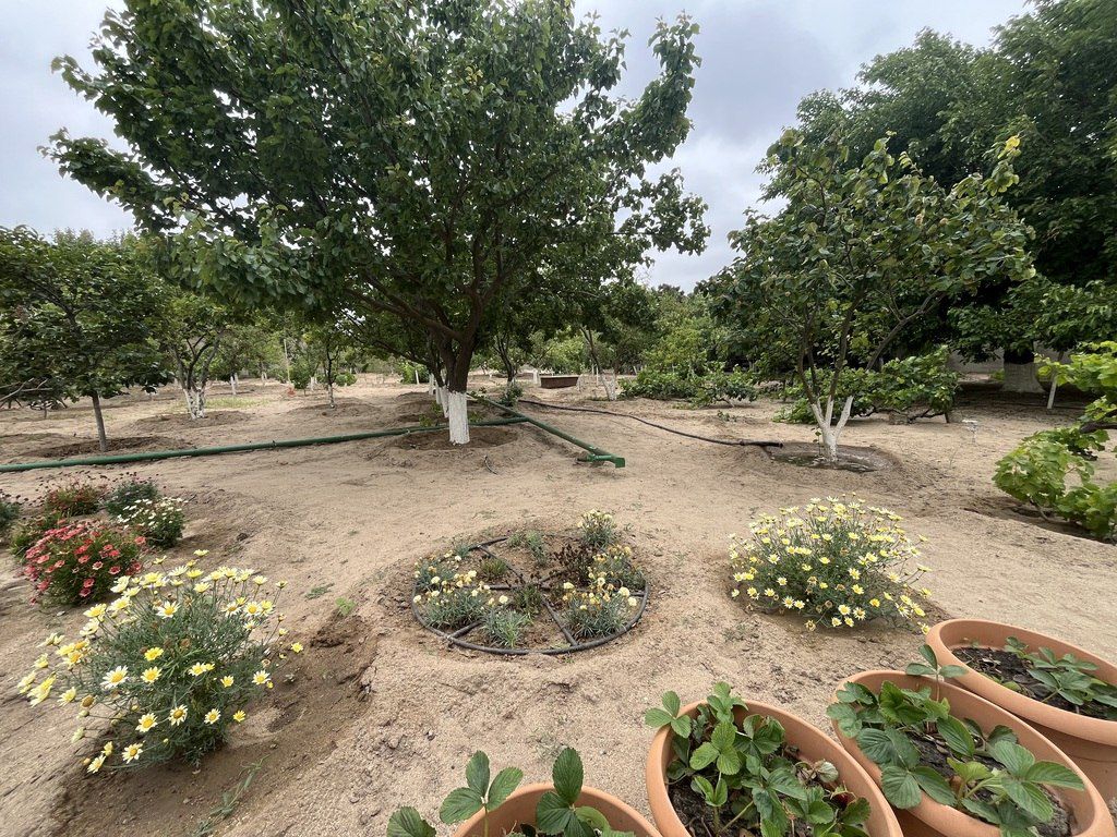 Satılır torpaq 24 sot — Torpaq, Bakı (6)