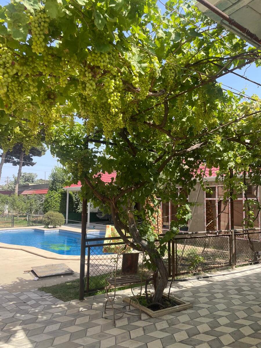 Satılır 9 otaqlı həyət evi/bağ evi 800 m² — Ev, villa, Bakı (11)
