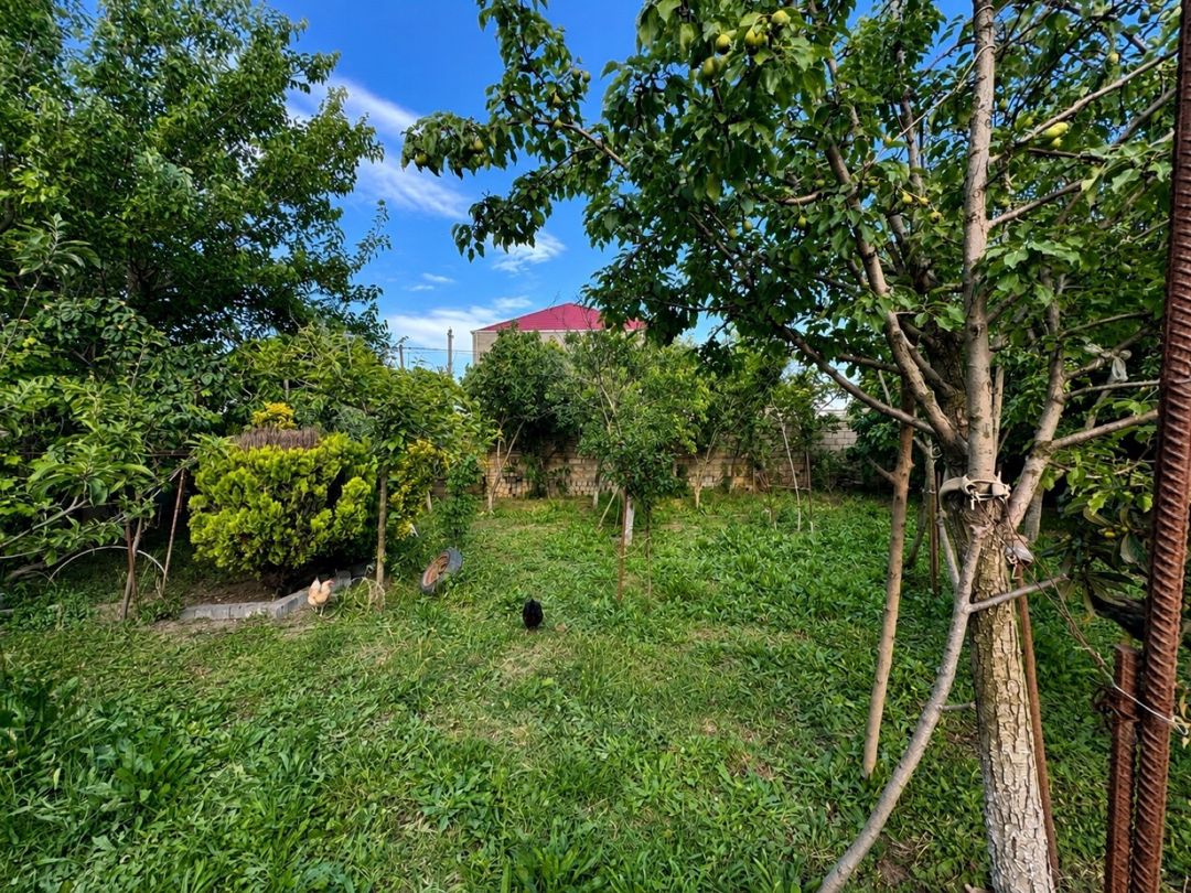Həyət evi kirayə verilir, Kürdəxanı qəs — Ev, villa, Bakı (7)