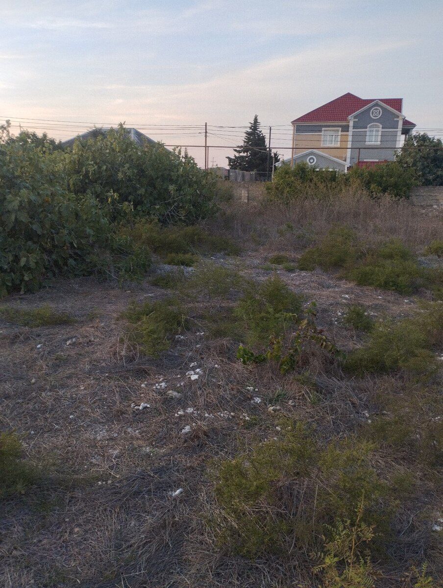 12.5 sot torpaq sahəsi, Albalı qəs — Torpaq, Bakı (2)