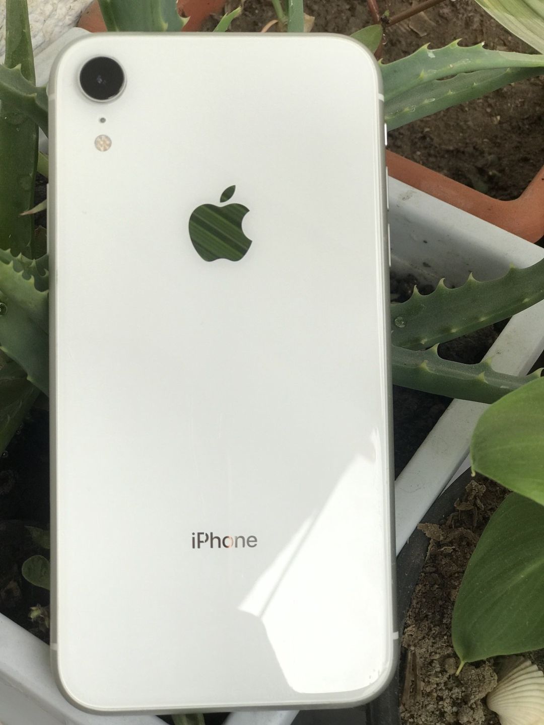 Apple iPhone XR White 256GB/3GB — Smartfonlar, Bakı (4)