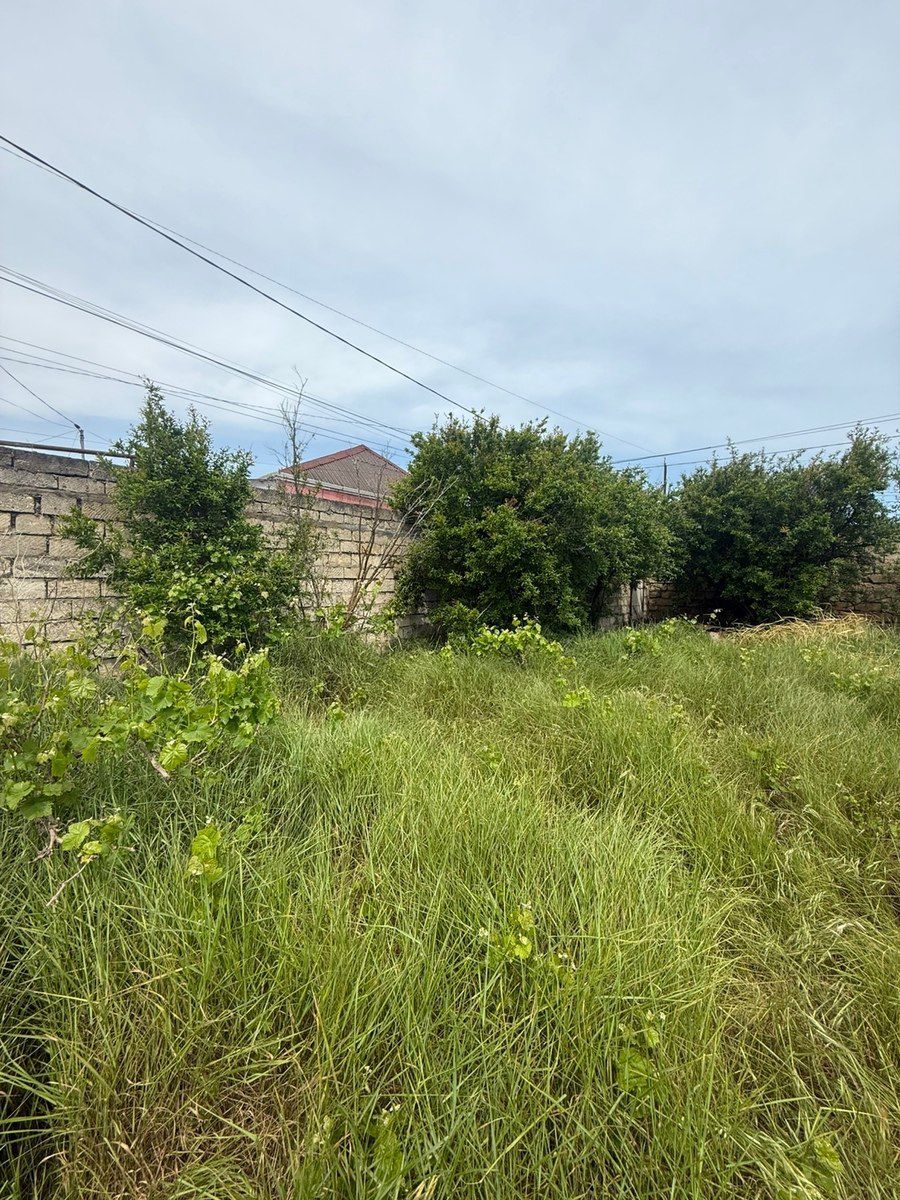 14 sot torpaq sahəsi, Albalı qəs — Torpaq, Bakı (9)