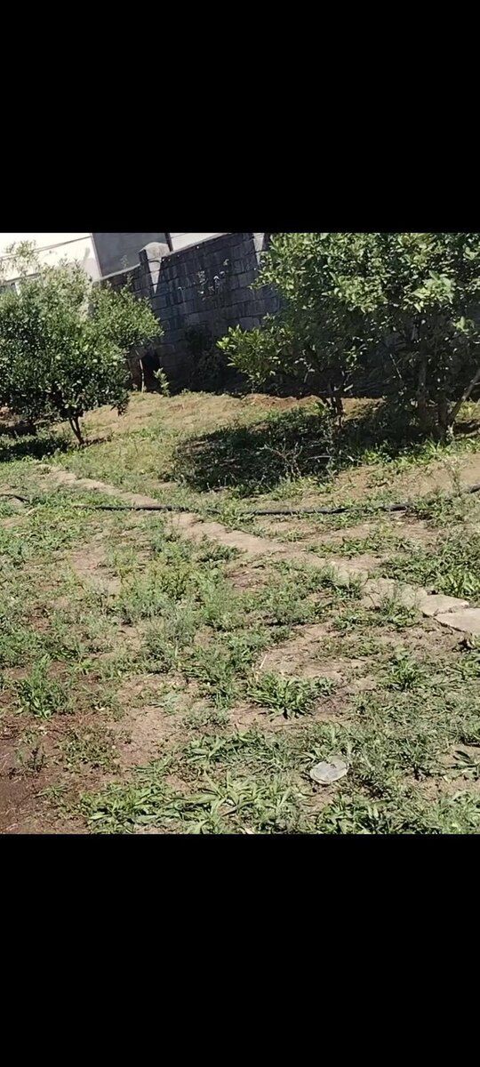 1 sot torpaq sahəsi, Lənkəran ş — Torpaq, Lənkəran