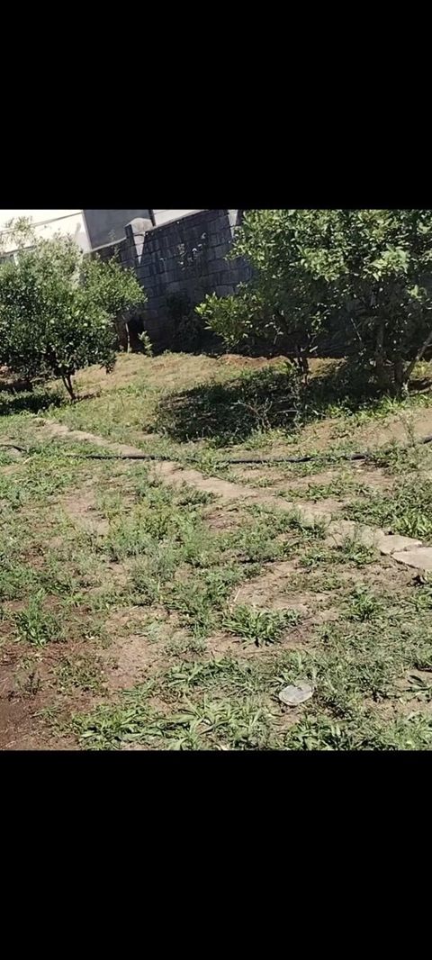 1 sot torpaq sahəsi, Lənkəran ş — Lənkəran