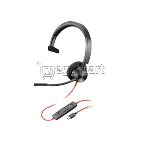 Qulaqlıq Poly BW 3310 Usb-c HS (767F8AA) — Bakı