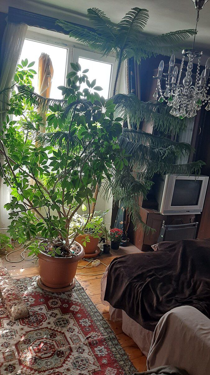 1-otaqlı mənzil, Neftçilər m., 40 m² — Mənzil, Bakı (2)
