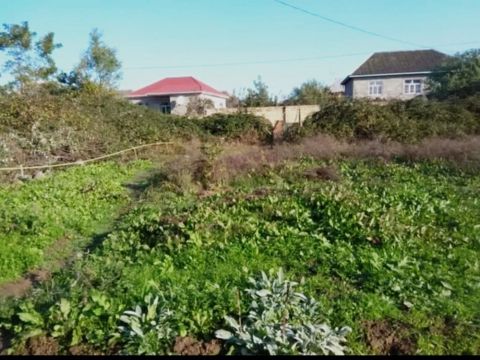 2.2 sot torpaq sahəsi, Lənkəran ş — Lənkəran