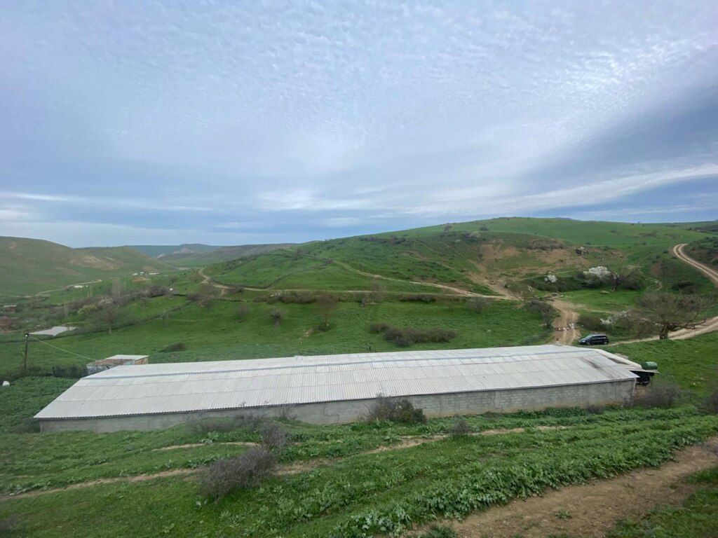 32 sot torpaq sahəsi, Qərəh Kəndi — Torpaq, Siyəzən (5)