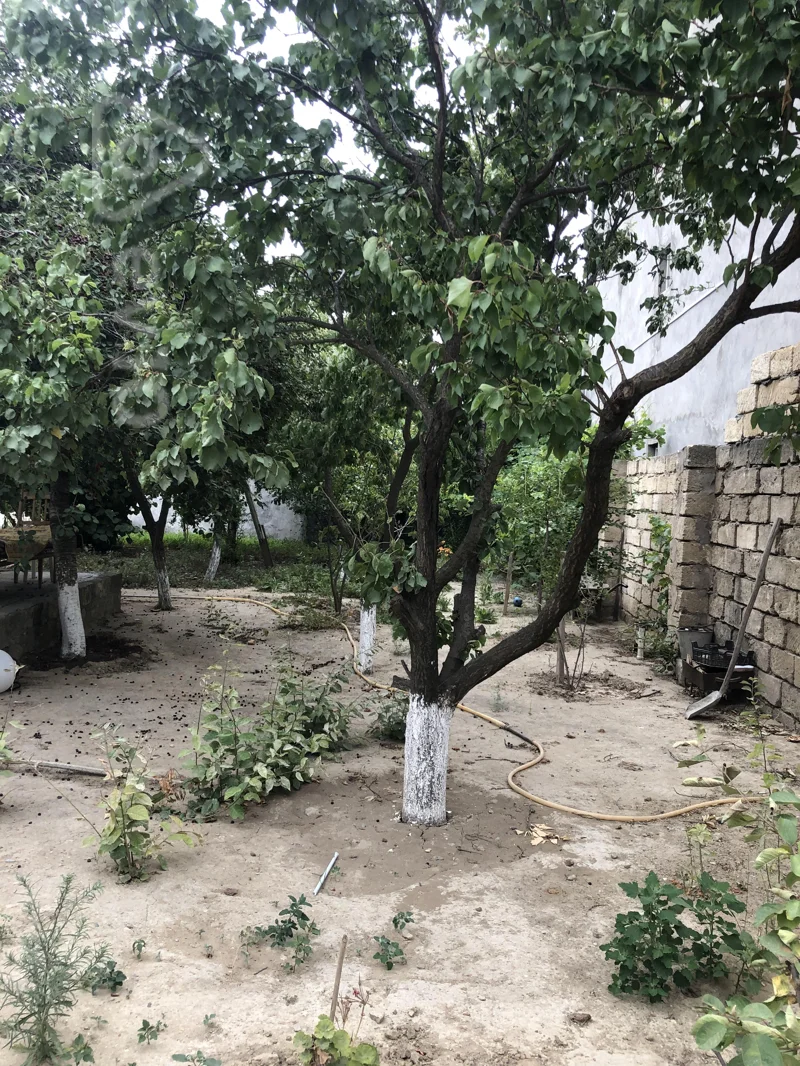 4 otaqlı həyət evi, 96 m², Digah Hüseyn Rəhimov küçəsi — Ev, villa, Bakı (3)