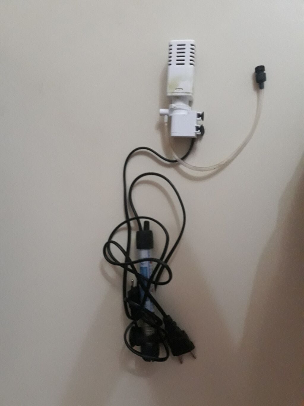 Əlaqə üçün dm və ya 0557583200- +5 balıq +Termometr +Güclü led işıq — Akvariumlar və balıqlar, Bakı (5)