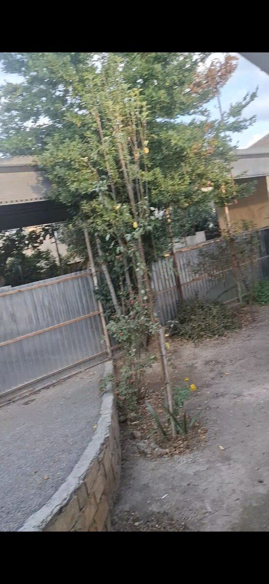 3-otaqlı yeni tikili, İmişli r., 70 m² — Mənzil, İmişli (9)