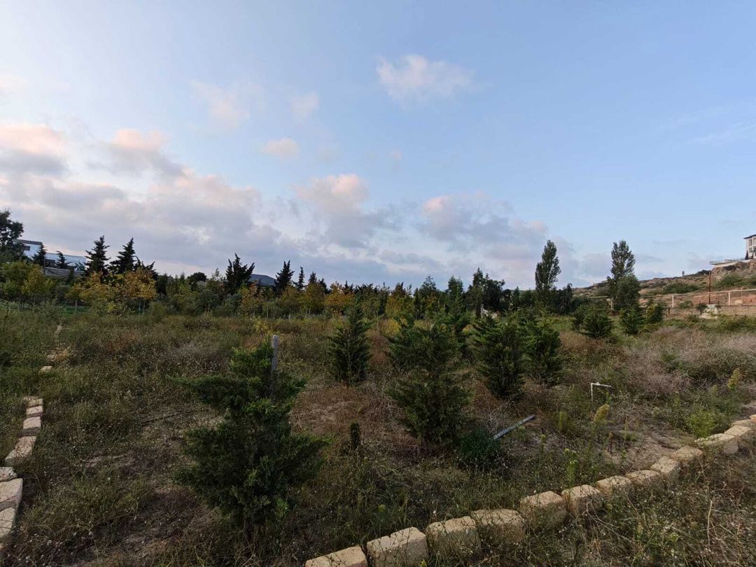 Satılır torpaq 6 sot — Torpaq, Bakı (3)